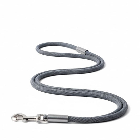 Hondenriem met ronde lijn en metalen afwerking
